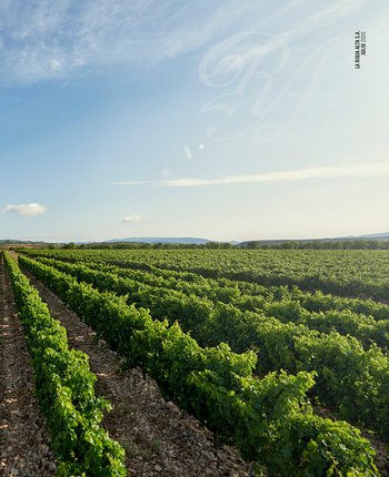 blog-image