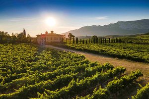 Torre de Oña - visita premium aperitivo