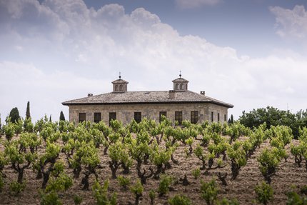 Torre de Oña, nuevo miembro de The Old Vine