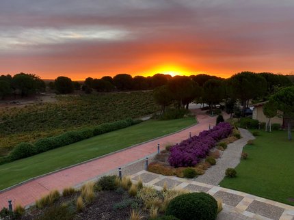 Nueva experiencia enoturística "Ribera del Duero vs. Rioja: 2 regiones y 4 bodegas”