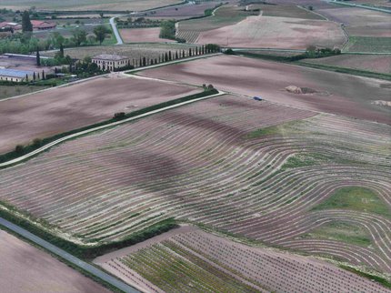 Keyline, una viticultura que dialoga con el paisaje